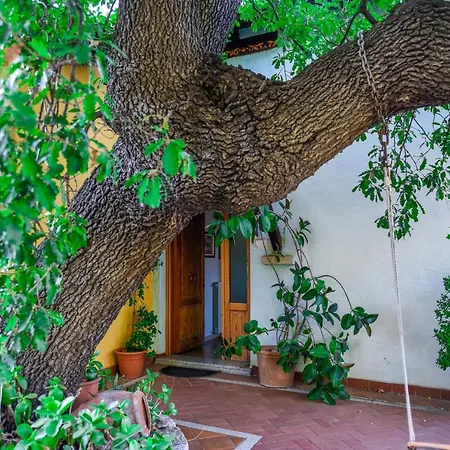 Casa Su Chercu *